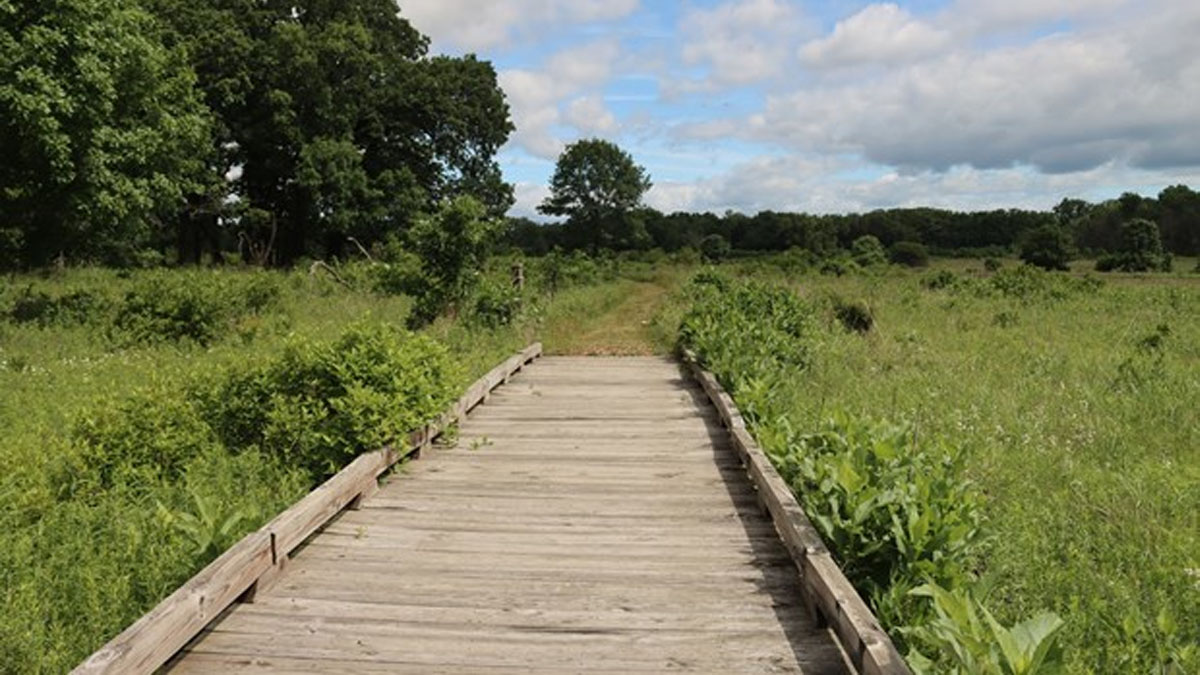 Walk with a Naturalist: Middlefork Savanna in Lake Forest